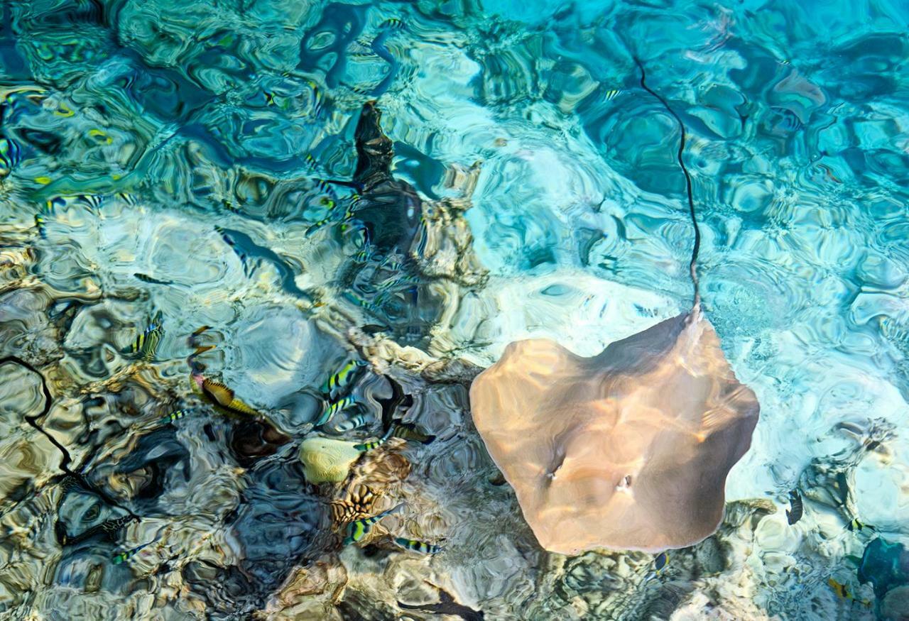 โอเชียน วิลเลจ มัลดีฟส์ Hotel Holhudhoo ภายนอก รูปภาพ