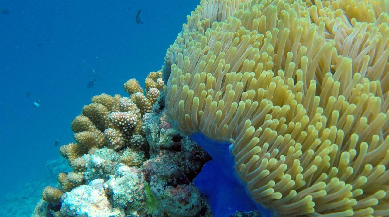 โอเชียน วิลเลจ มัลดีฟส์ Hotel Holhudhoo ภายนอก รูปภาพ