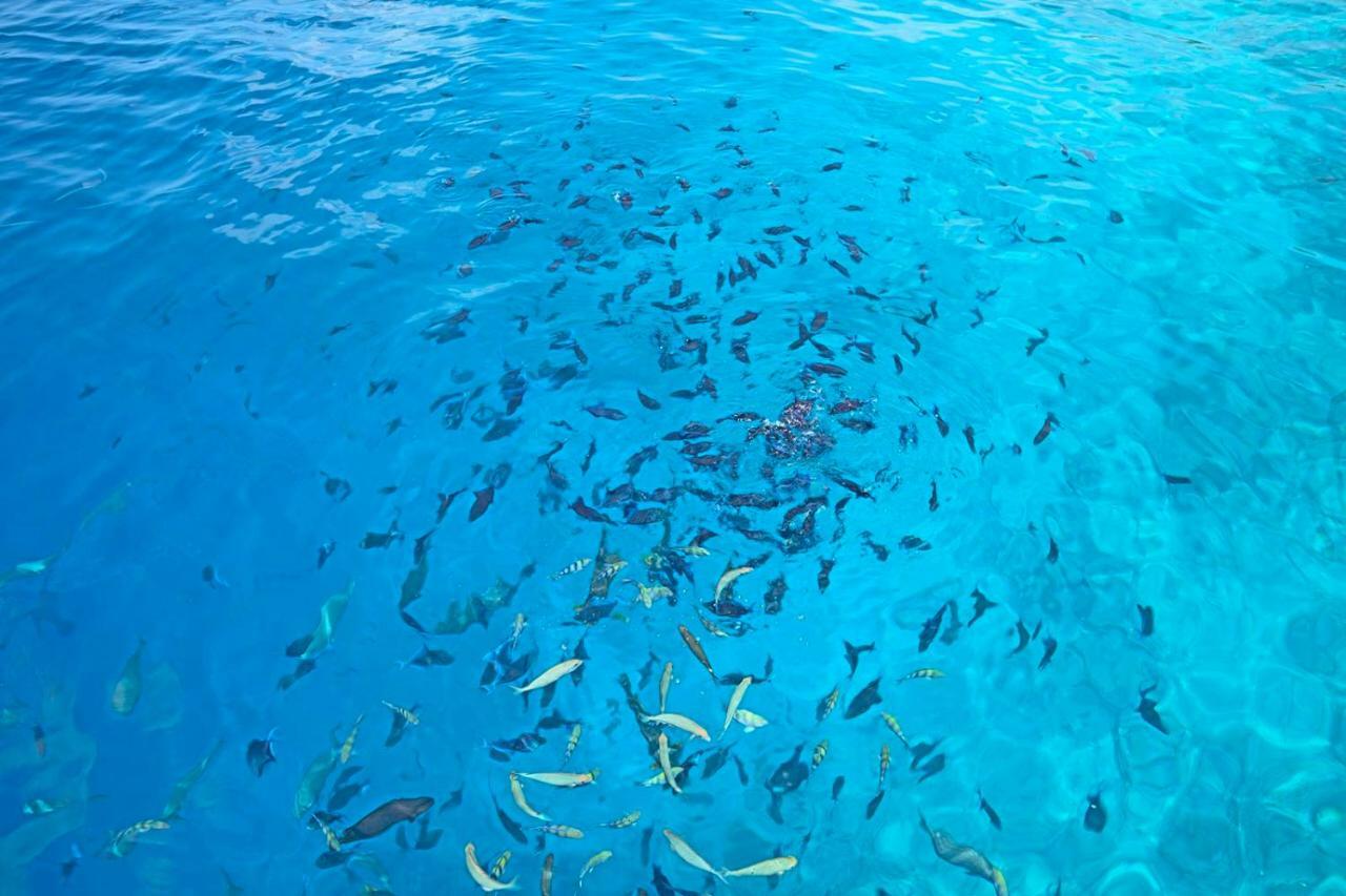 โอเชียน วิลเลจ มัลดีฟส์ Hotel Holhudhoo ภายนอก รูปภาพ